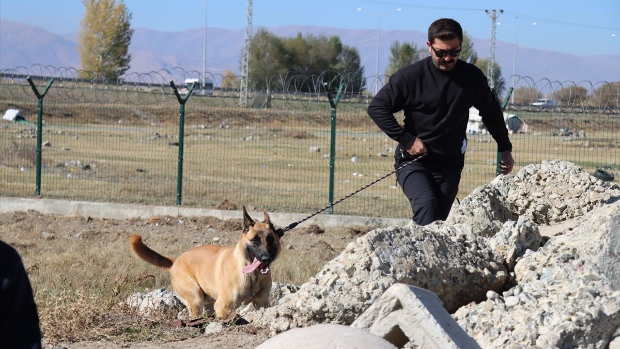 Erzincan'da Arama Kurtarma Köpeklerine Eğitim Veriliyor