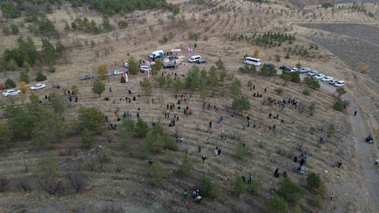 Erzincan'da Fidan Dikim Etkinliği Düzenlendi