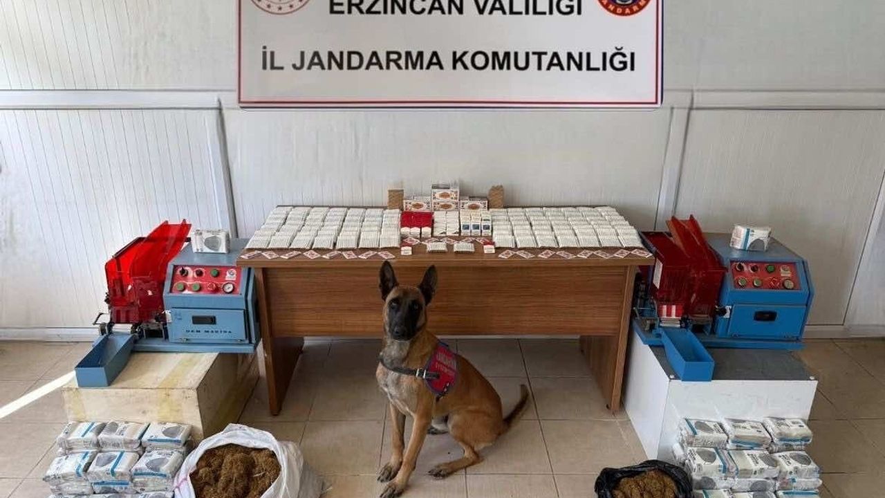 Erzincan Jandarma'dan Kasım Ayı Güvenlik Raporu: Olayların %93'ü Aydınlatıldı