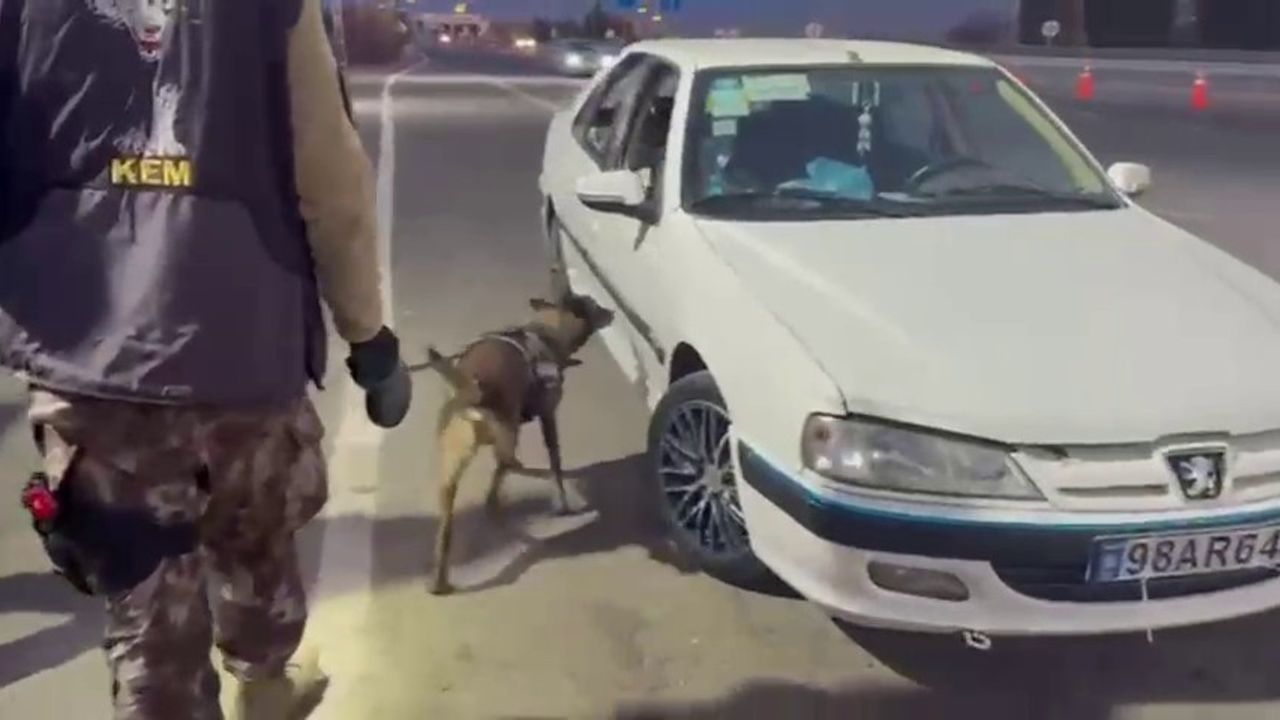 Erzurum'da Dopingi Bulan Köpek: Magnum