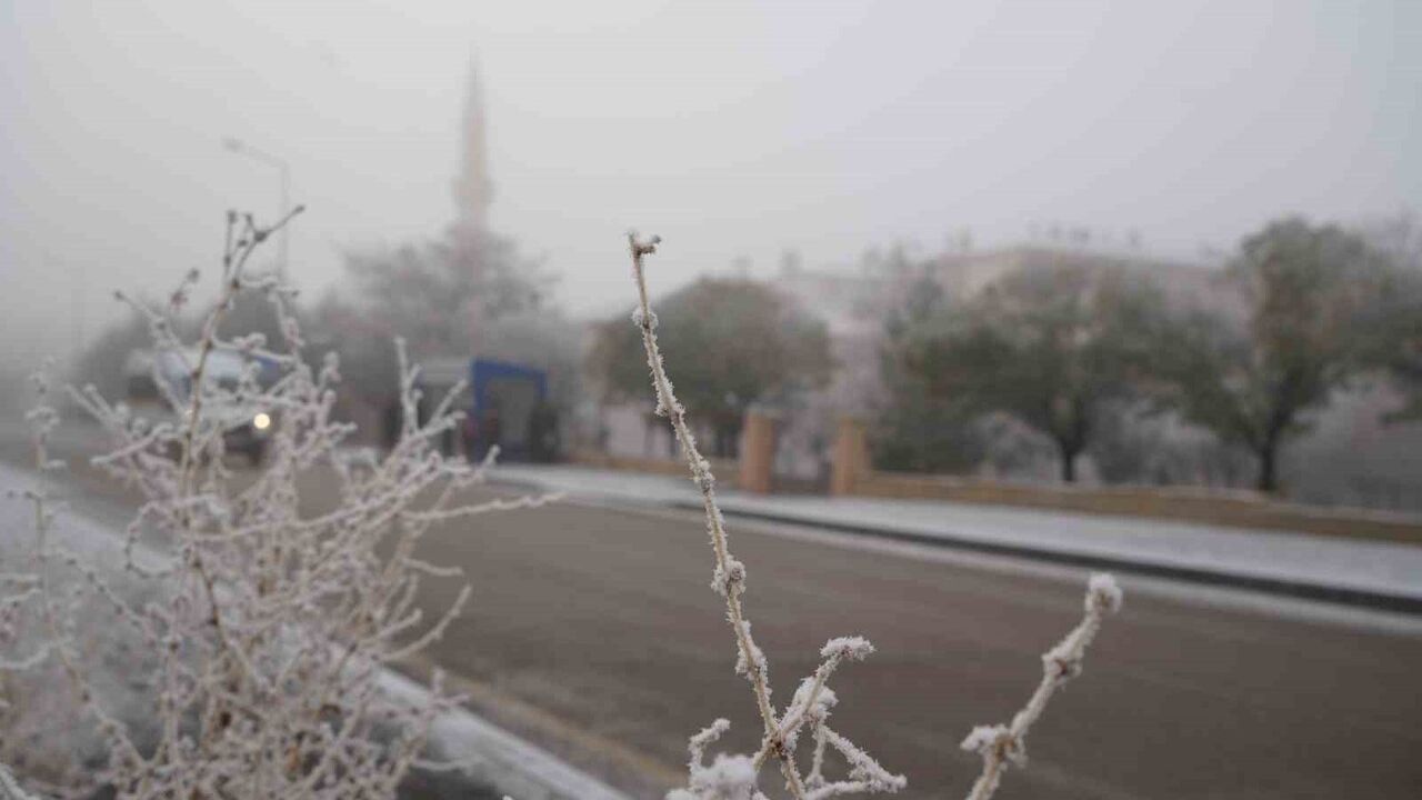 Erzurum'da Kırağı ve Sis Etkili Olmaya Devam Ediyor