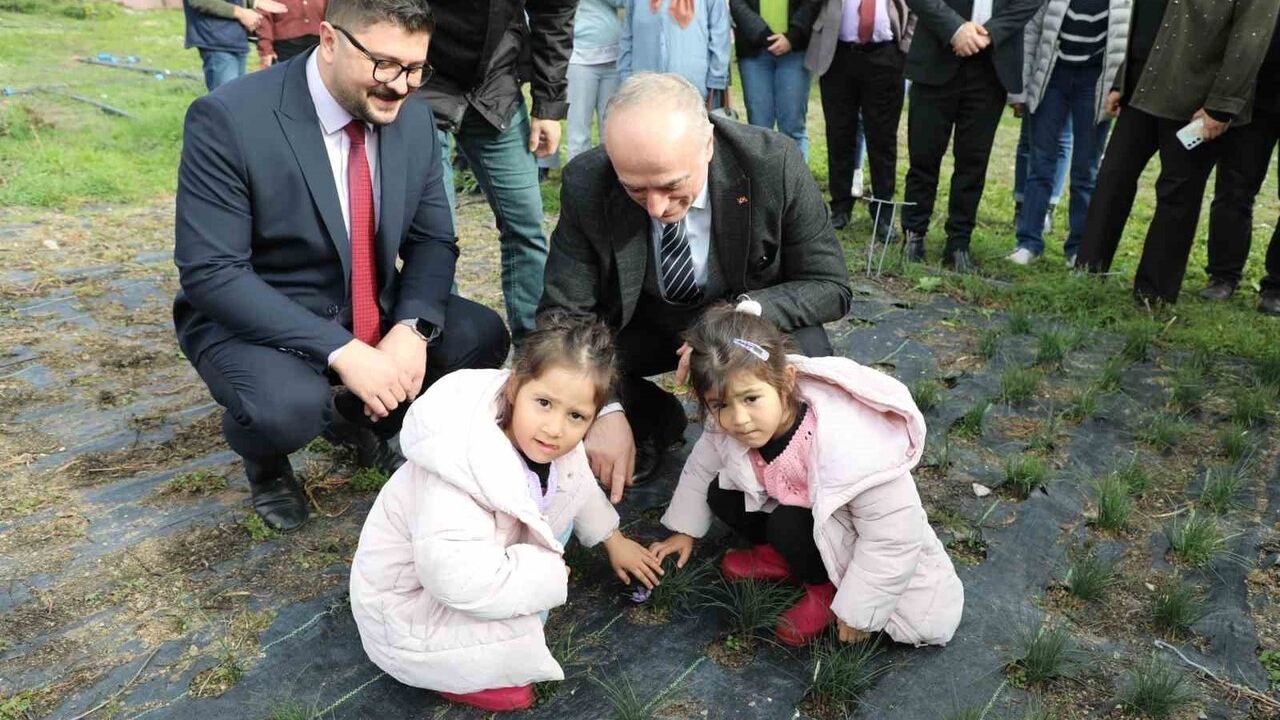 Eskişehir'in Safran Üretiminde Hedefi Birincilik