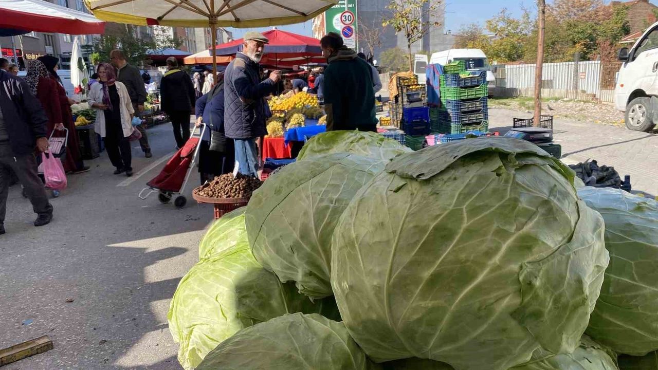 Eskişehir Pazarında Dev Lahanalar Dikkat Çekiyor