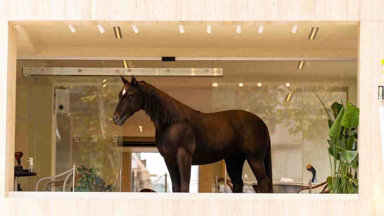 Espressolab ve Animax Designs, Sanat ile Teknolojiyi Birleştiriyor