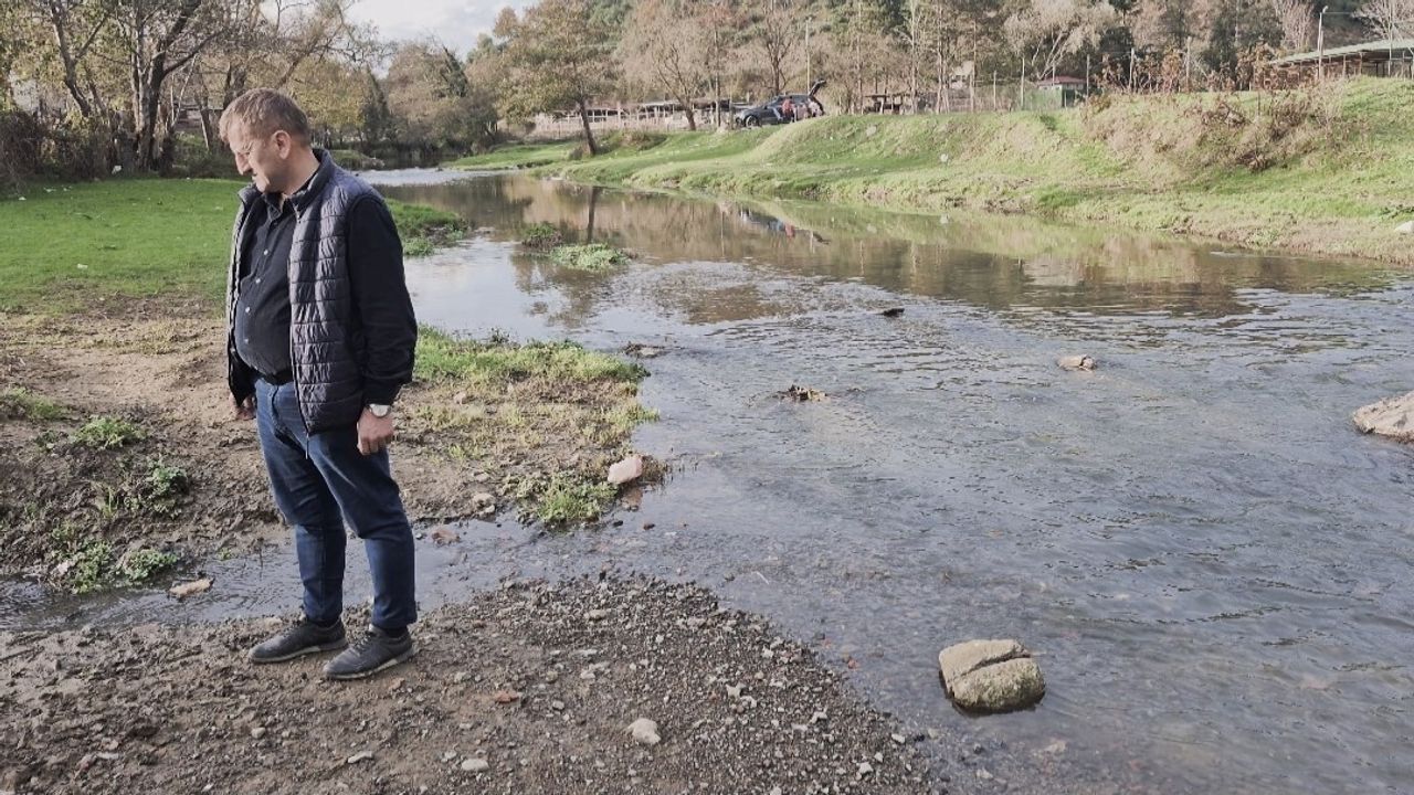 Eyüpsultan'da Balık Ölümleri: Su Kaynağı Tehdit Altında