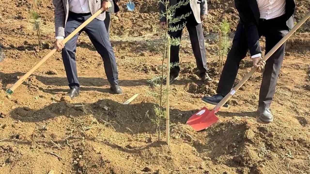 Fidanlar Toprakla Buluştu