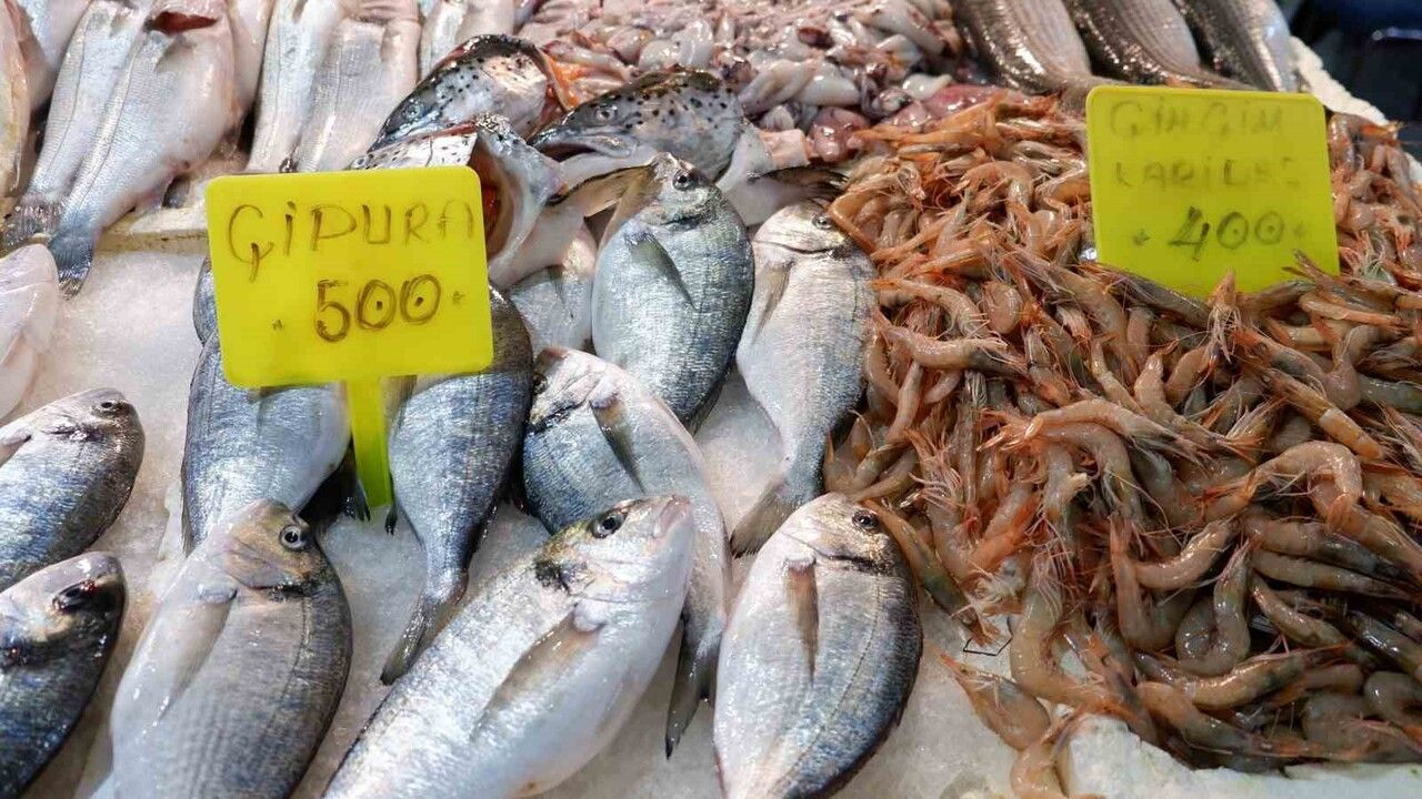 Foça Balık Hali'nde Kış Sezonu: Sardalya ve Uskumru Yoğunluğu