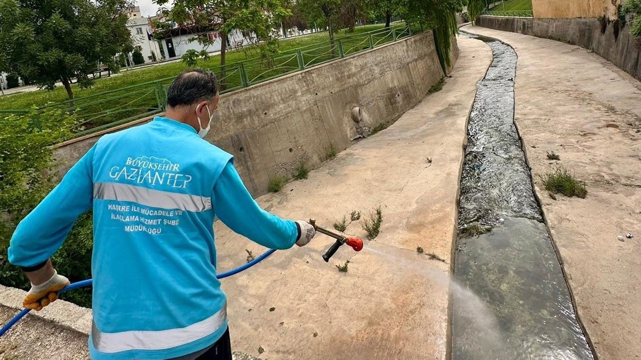 Gaziantep Büyükşehir Belediyesi İlaçlama Çalışmalarını Genişletiyor