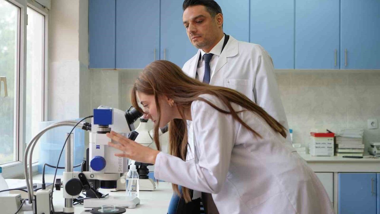 Gaziantep’te Sinek İstilasına Karşı Mücadele