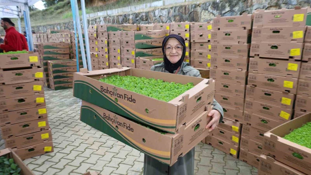 Gebze'deki Çiftçilere 500 Bin Fide Hibe Desteği