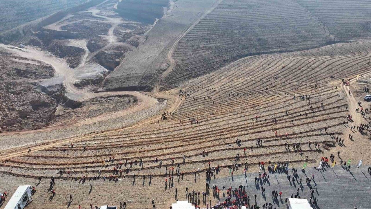 Geleceğe Nefes Projesi ile Ağaçlandırma Seferberliği