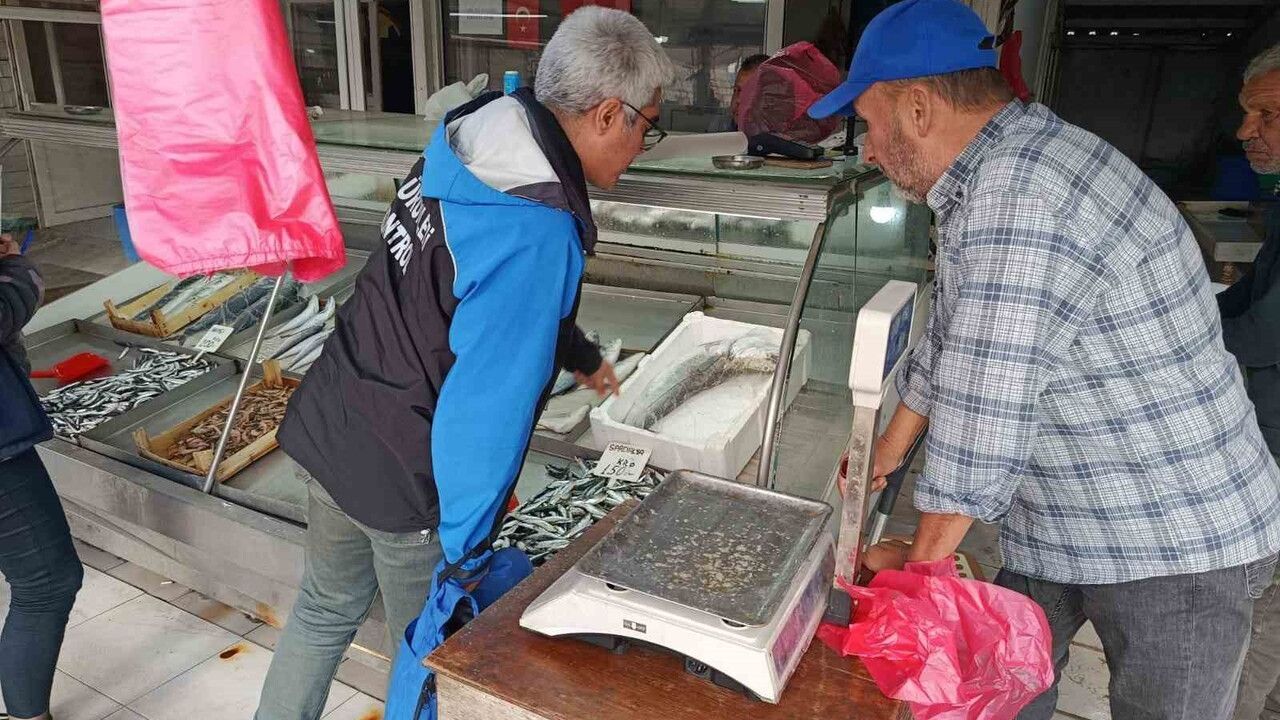 Gelibolu'da Balık Satış Yerlerine Denetim