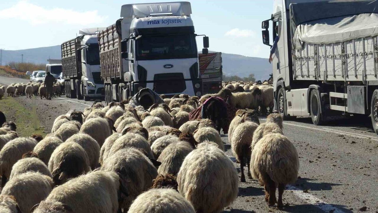 Gercüş'te Göçerlerin Zorlu Yolculuğu