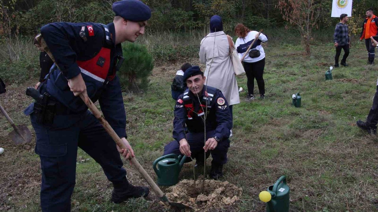 Gerze'de Şehit Orman Görevlileri Anısına Fidan Dikimi