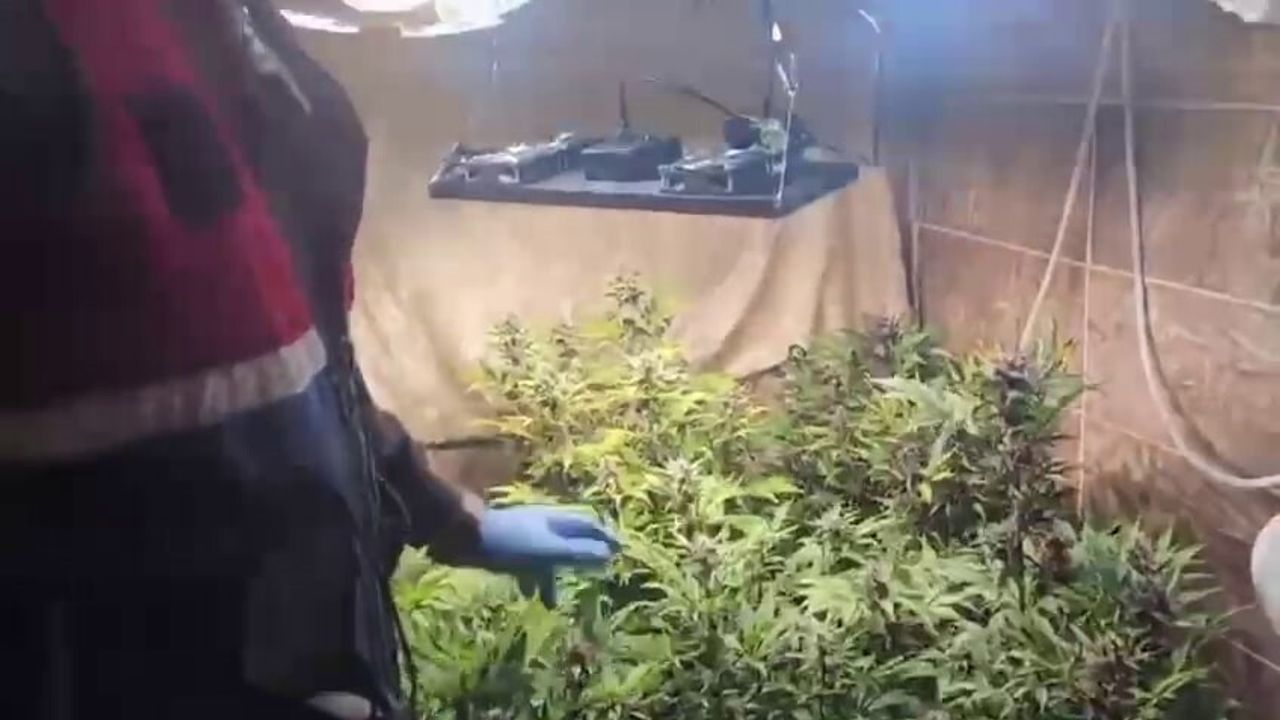 Geyve'de Uyuşturucu Operasyonu: İki Şüpheli Gözaltında