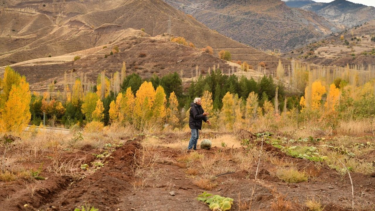 Giresun'da Antep Fıstığı Bahçesi Kuruldu