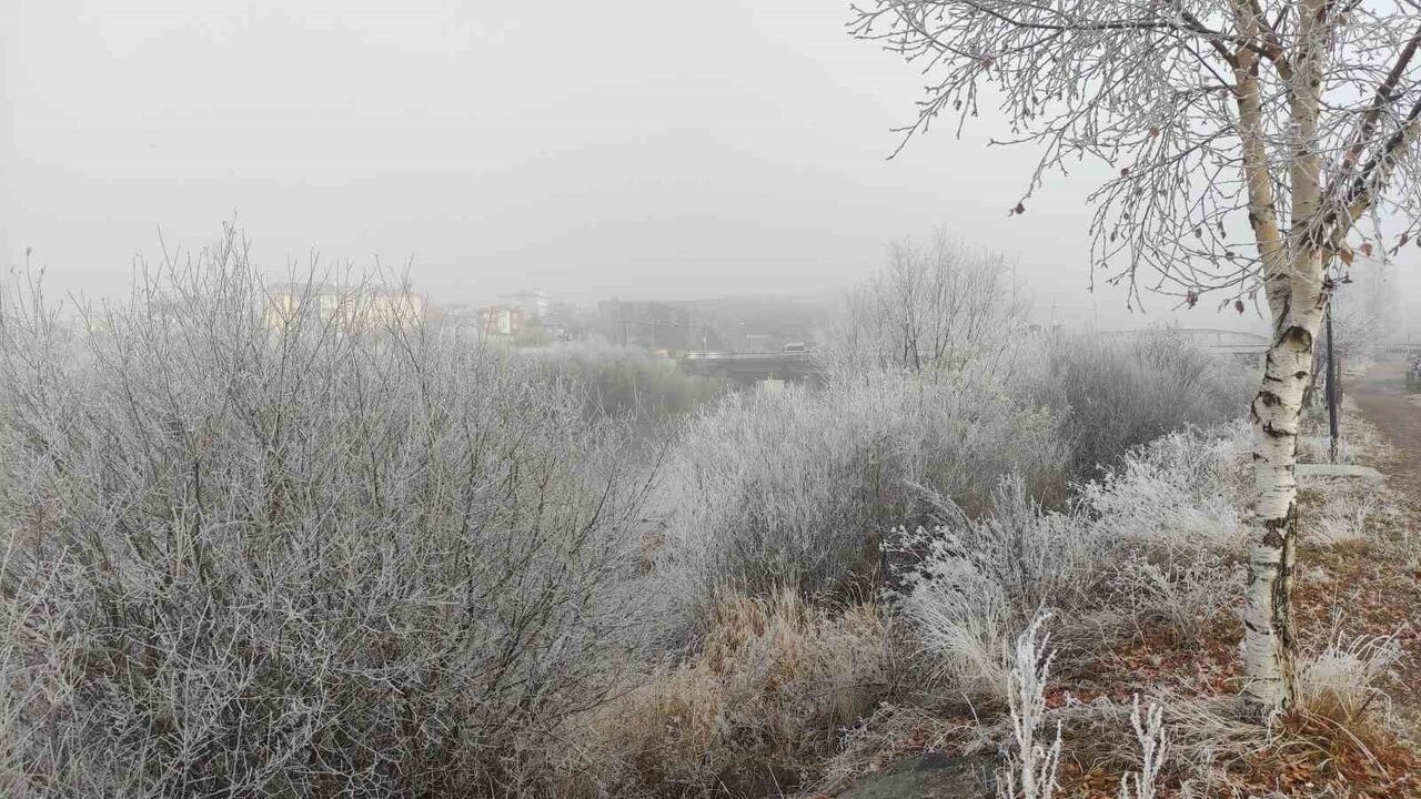 Göle'de Don Olayı: Ağaçlar Kırağıyla Kaplandı