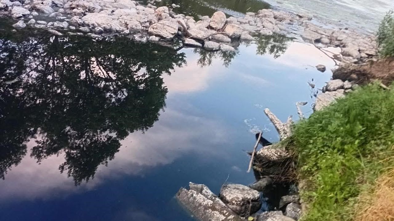 Gönen Çayı'nda Ekolojik Çöküş: Acil Eylem Çağrısı