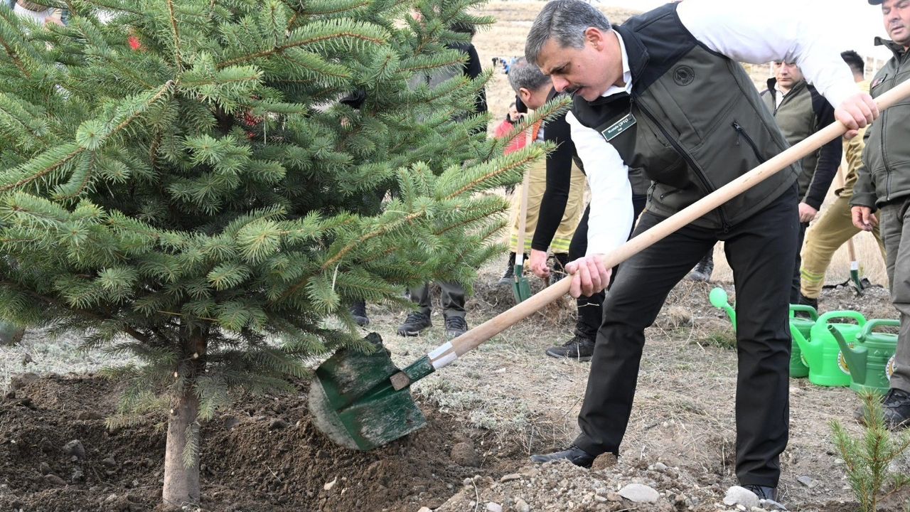 Gönüllü Kan Bağışı ve Ağaçlandırma Protokolü