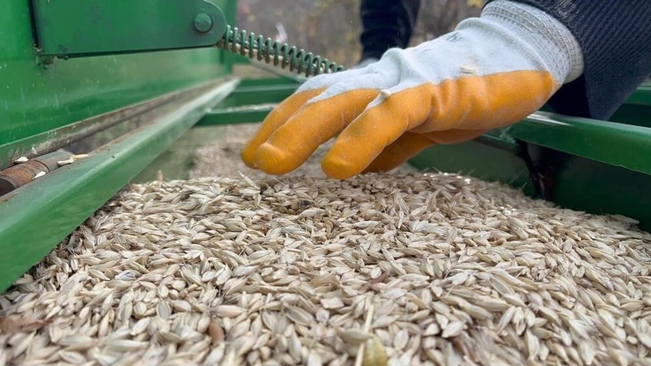 Gübre Fiyatları Raporlarda Öne Çıkıyor