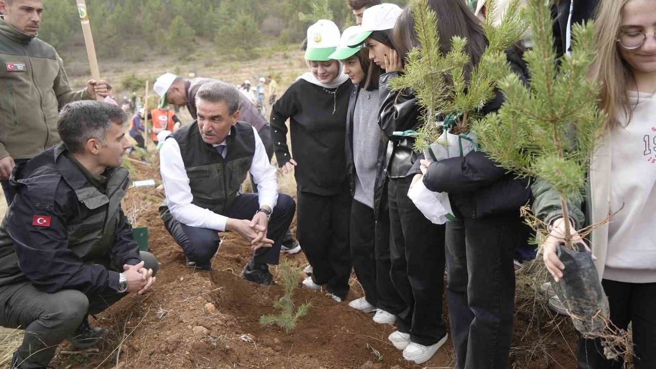 Gümüşhane'de Milli Ağaçlandırma Günü Coşkusu