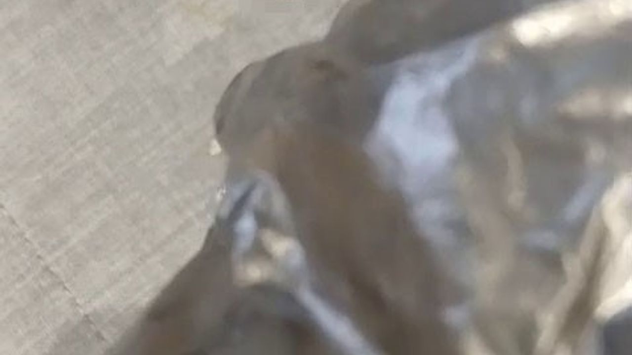 Gürsel Tekin'den CHP İstanbul İl Binası'ndaki Utanç Verici Olayla İlgili Açıklama