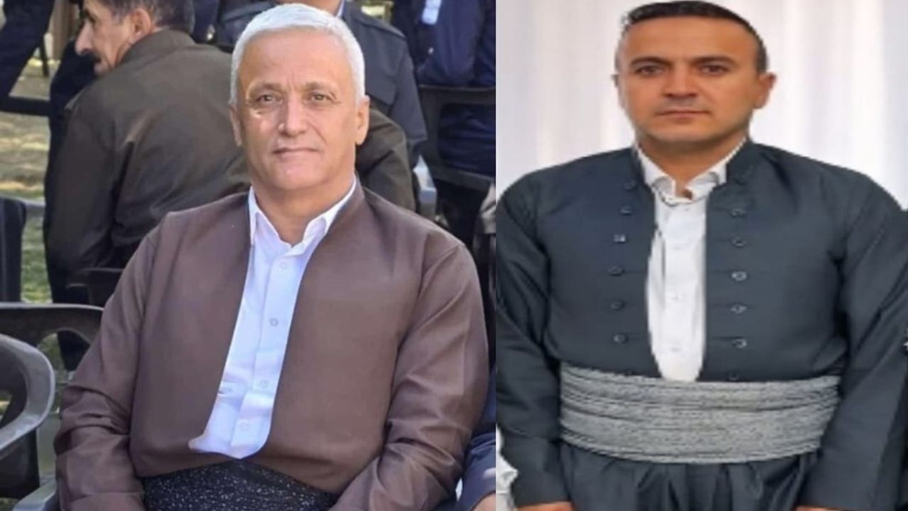 Hakkari'de Kamyonet Kazasında İki Kişi Hayatını Kaybetti