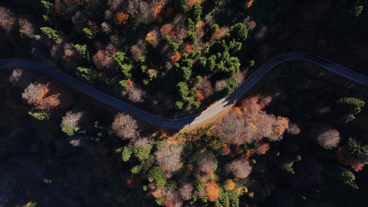Hamsiköy: Doğanın Renk Cümbüşü ve Fotoğraf Tutkunlarına Cennet