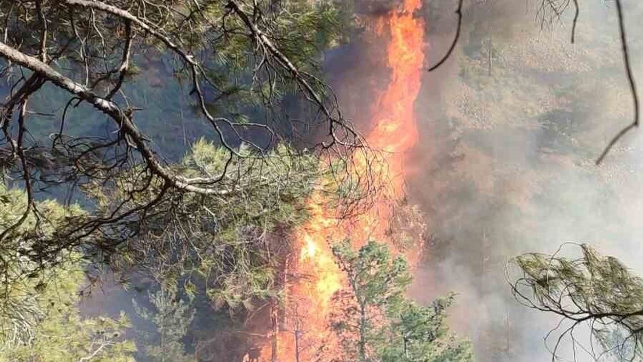 Hatay Belen'de Orman Yangını İle Mücadele Başladı