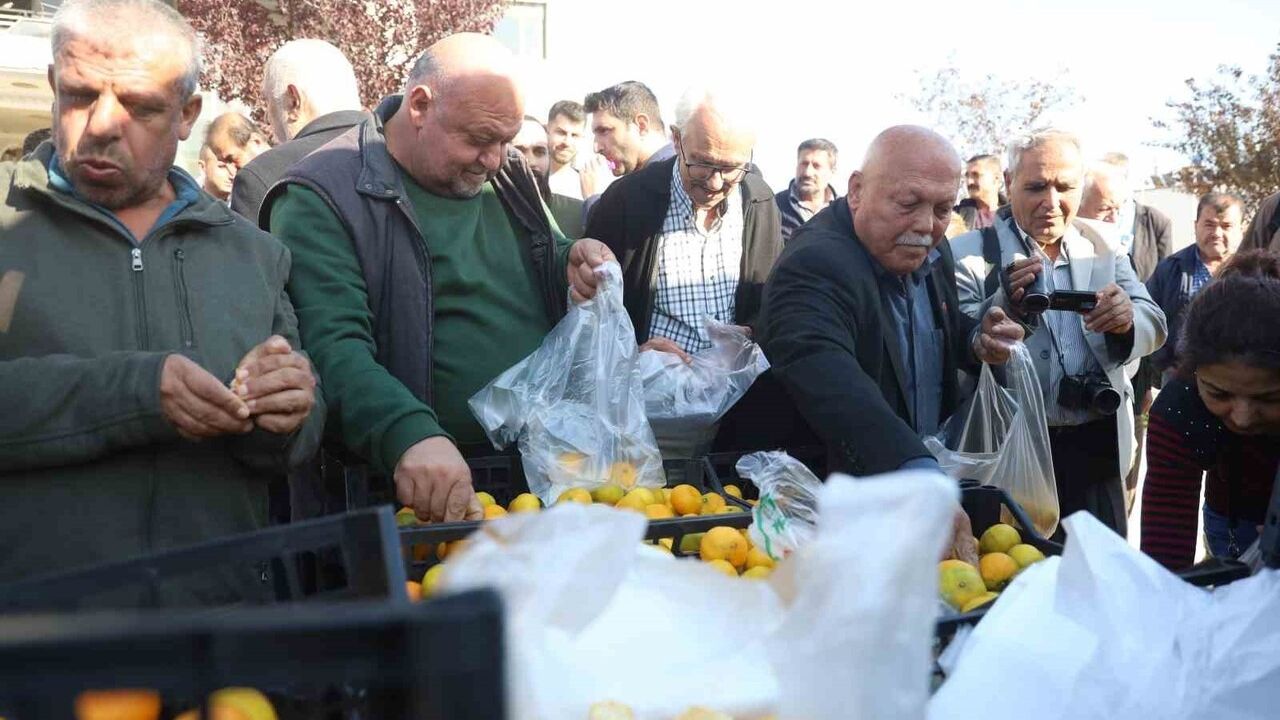 Hatay'da Mandalina Dağıtımı: Ücretsiz Ürünlerle Destek