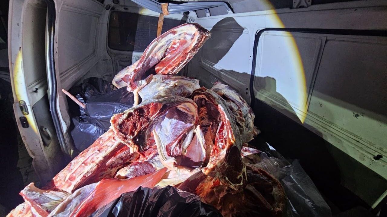 Hatay'da Menşei Belirsiz Kırmızı Et Ele Geçirildi