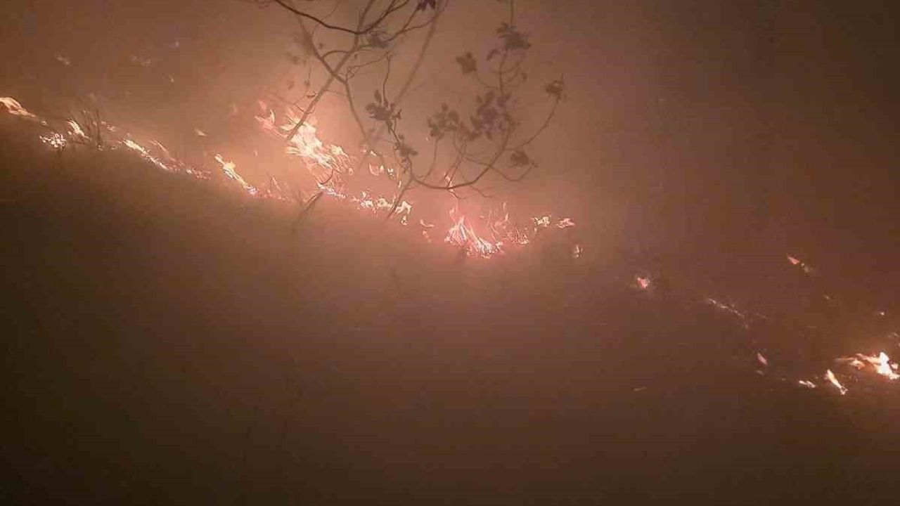 Hatay'daki Orman Yangınına Yıldırım Sebep Oldu