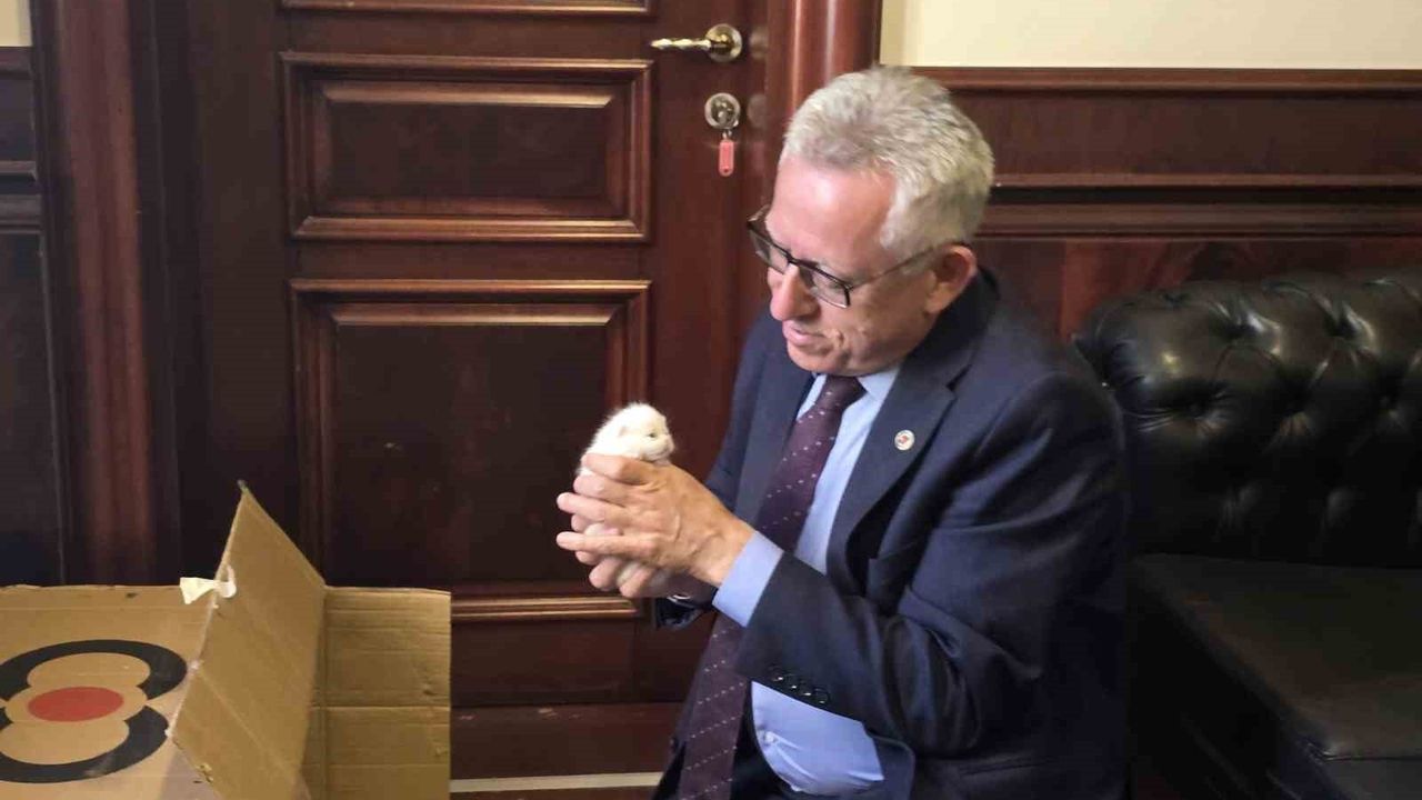 Hayvan Dostu Başkan Arslan: Evcil Köy Projesiyle Yozgat'ta Çığır Açıyor