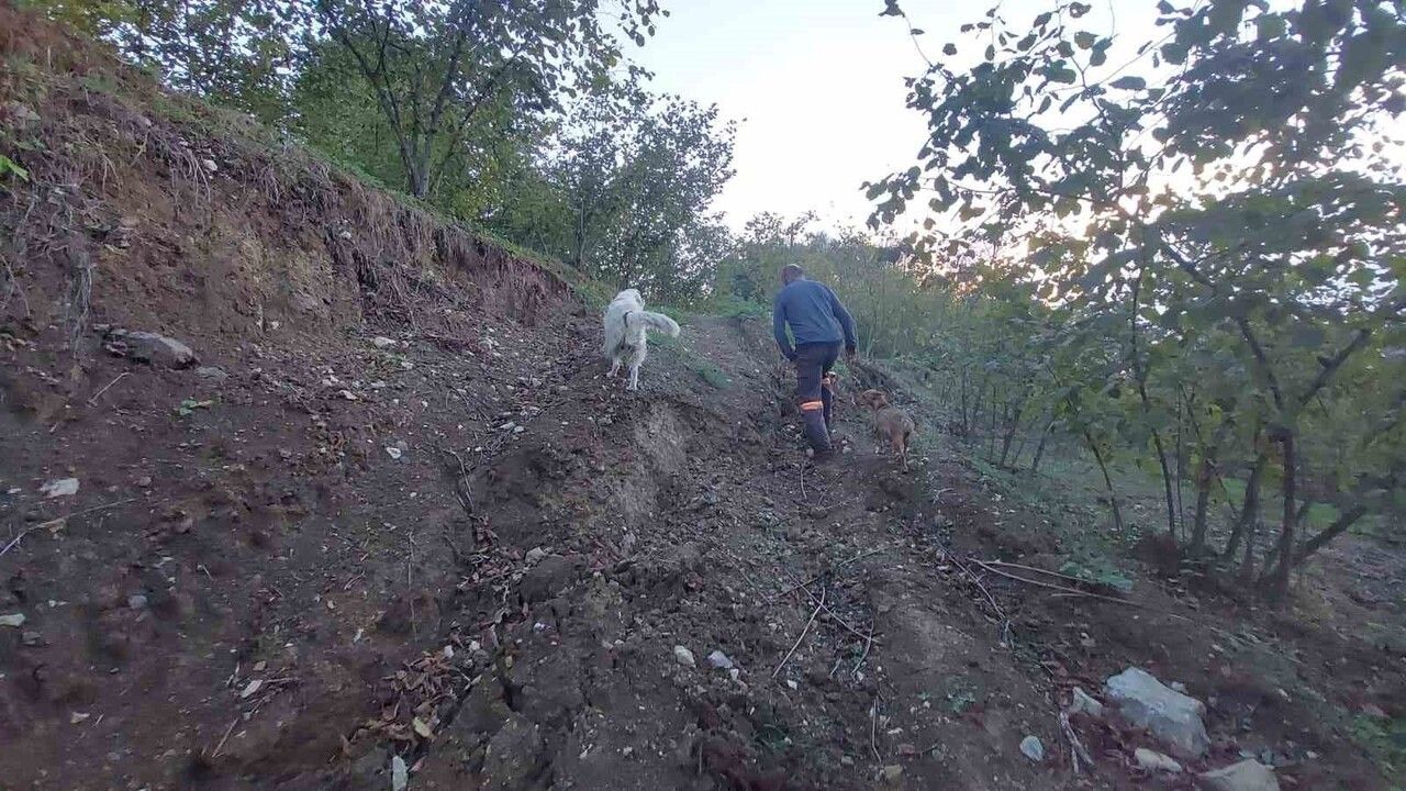 Hendek'te Taş Ocağı Tehdit Oluşturuyor