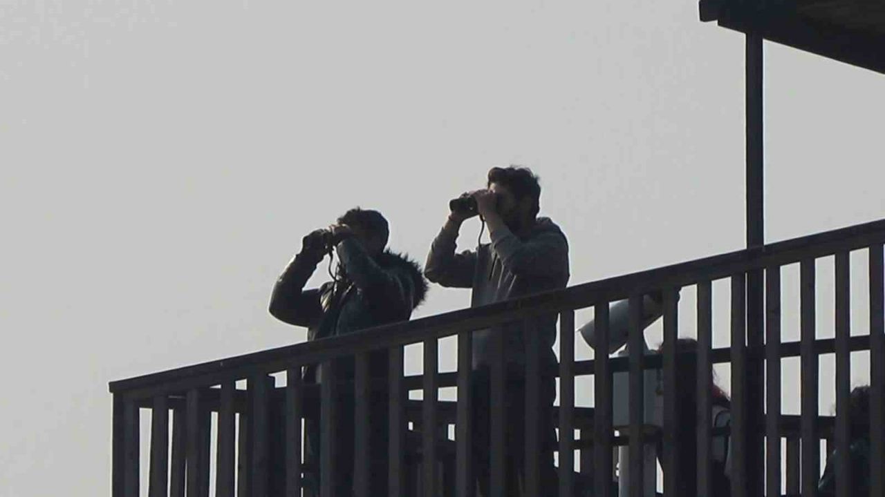 Hersek Lagünü’nde Flamingo Popülasyonu Artıyor