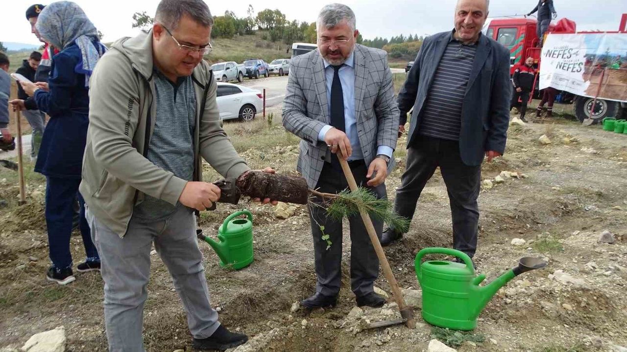 Hisarcık’ta Milli Ağaçlandırma Günü Coşkusu