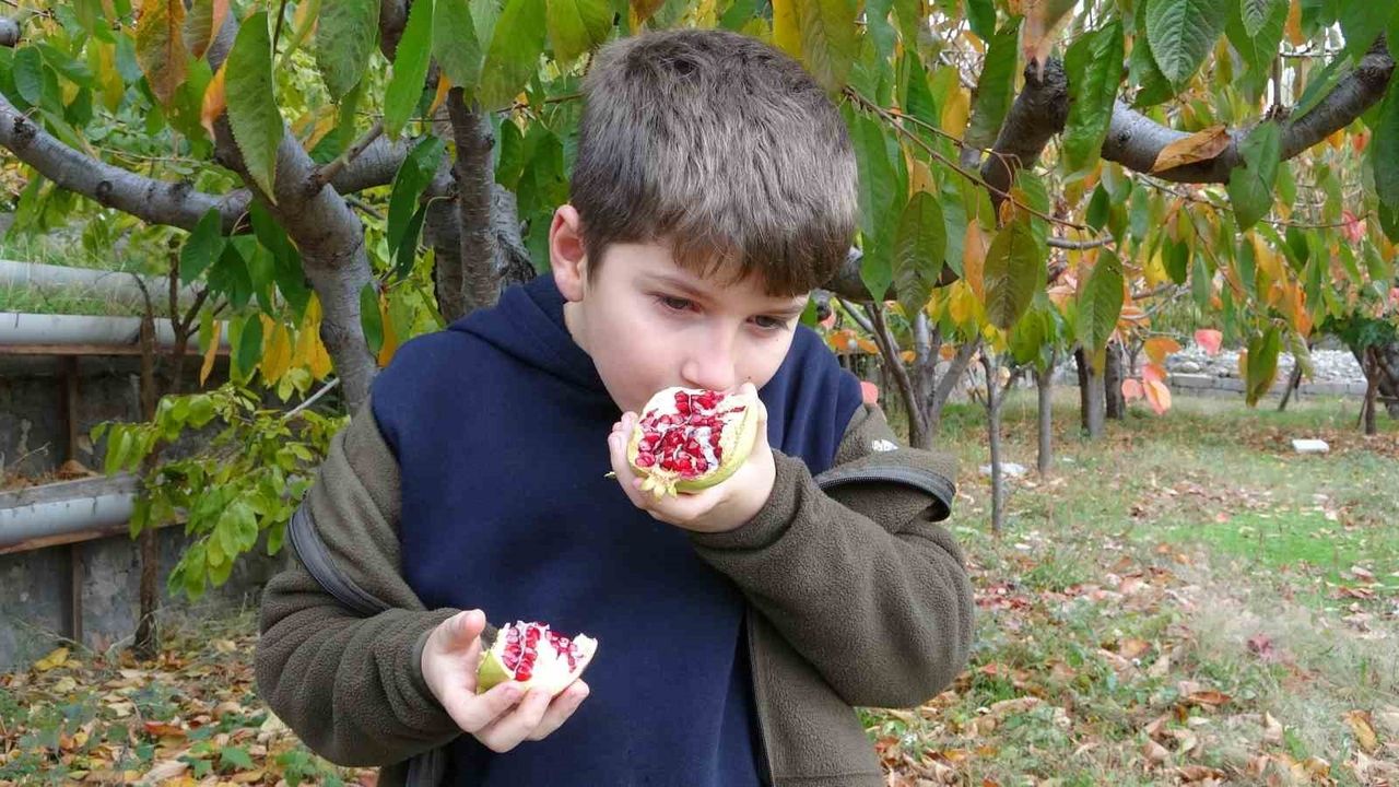 İbrahim Dede'nin Hayır Bahçesi