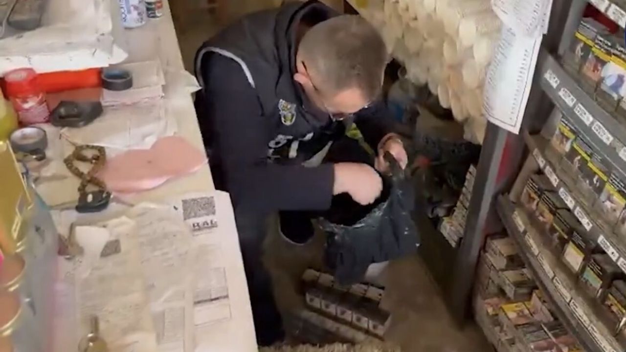 Iğdır'da Kaçak Sigara ve Uyuşturucu Operasyonu