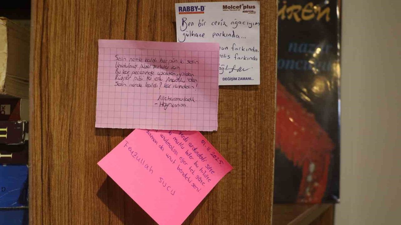 İkinci El Kitapların Hikayesi: Bilgi ve Hatıralar