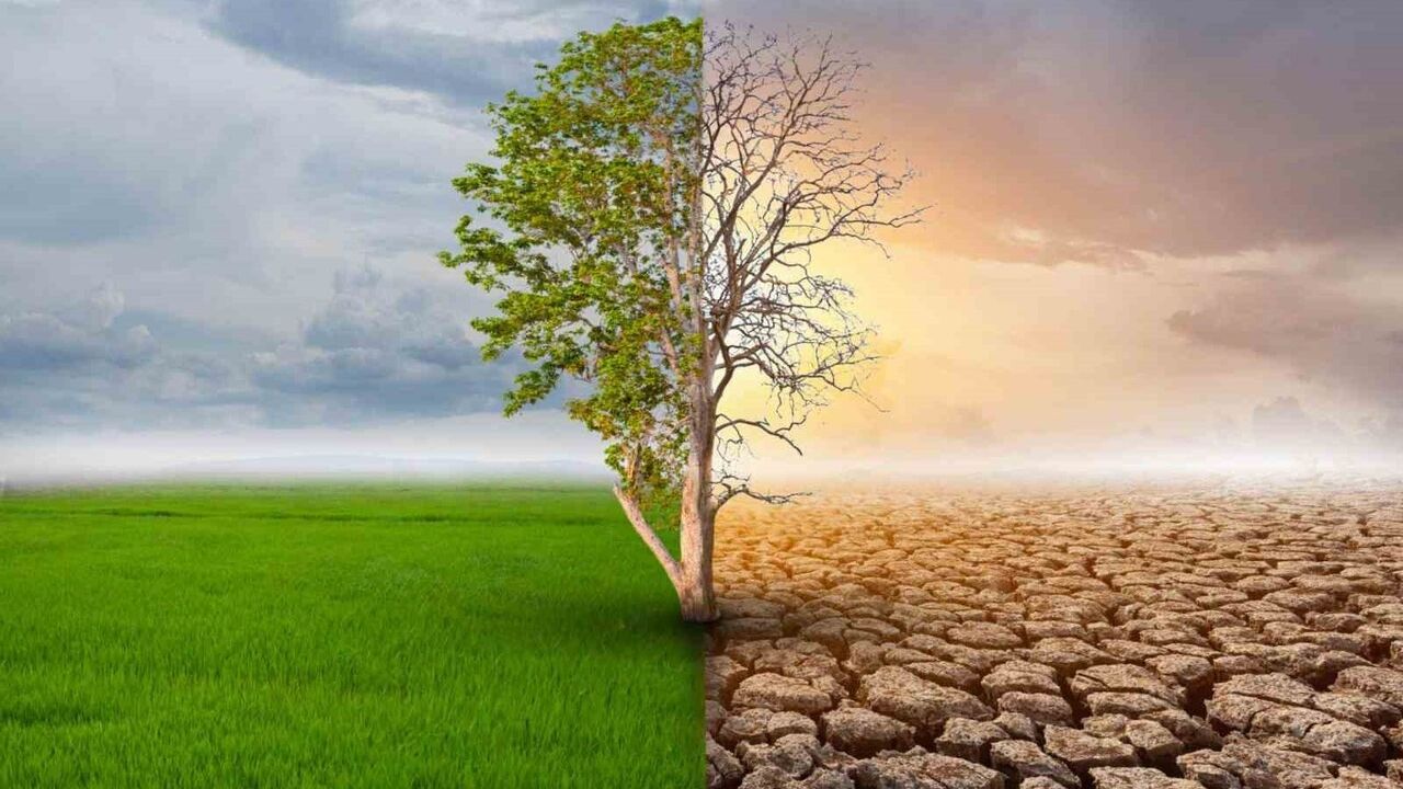 İklim Krizi Psikolojisi Üzerine Önemli Bir Araştırma Bağlantısı