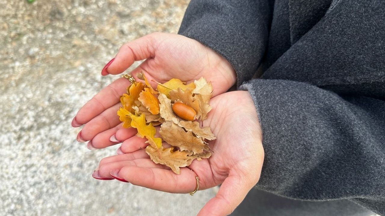 Ilgaz Dağları'nda Sonbahar Güzellikleri