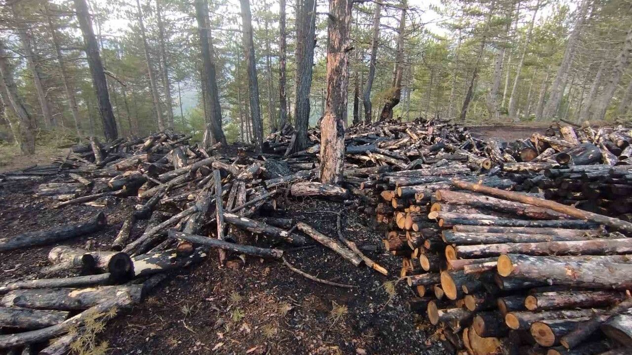 İskilip'te Kesim Alanında Yangın Olayı