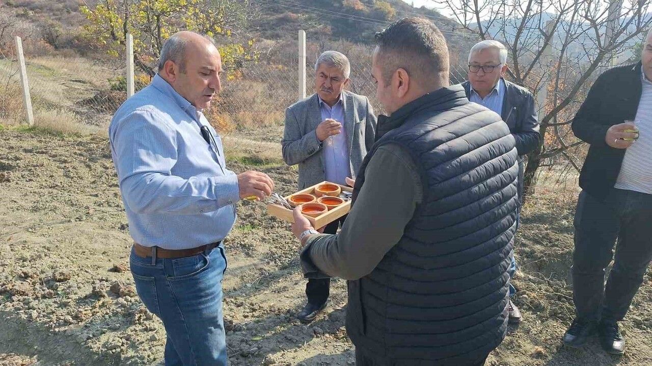 İskilip'te Safran Yetiştiriciliği ile Kırsal Kalkınma Modeli