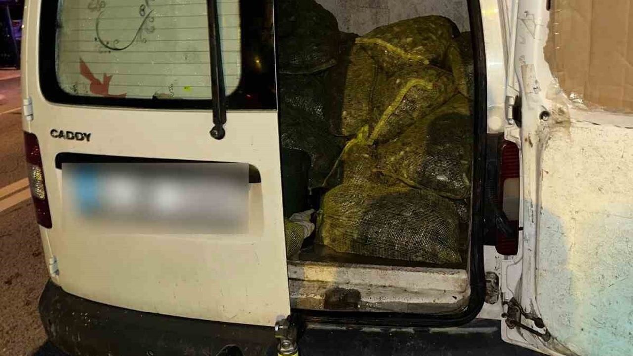 İstanbul'da Kaçak Midye Operasyonu: 2 Ton 350 Kilogram Ele Geçirildi