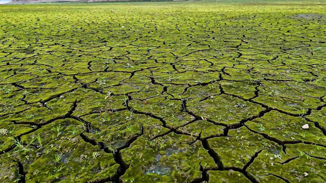 İstanbul'da Kuraklık Tehlikesi Görüntülendi