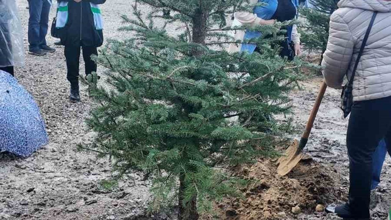 İzmir'de 115 Bin Fidan Toprakla Buluştu