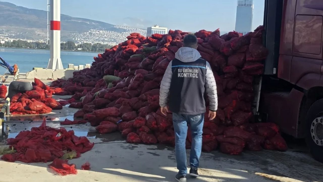 İzmir'de 27 Ton Belgesiz Kara Midye Ele Geçirildi
