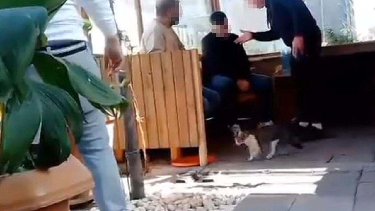 İzmir'de Hırsızlık Şüphesi: Taksi Şoförü Darp Edildi