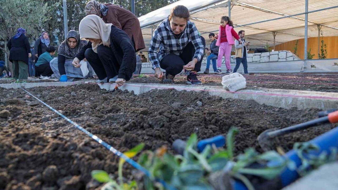 İzmir Mahalle Bostanları'nda Kış Dikimleri Başladı