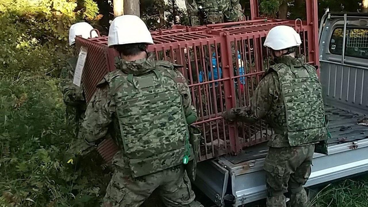 Japonya'da Ayı Saldırılarına Karşı Askeri Müdahale